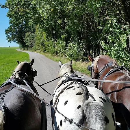 Ξενοδοχείο Alpenhof Bad Wörishofen