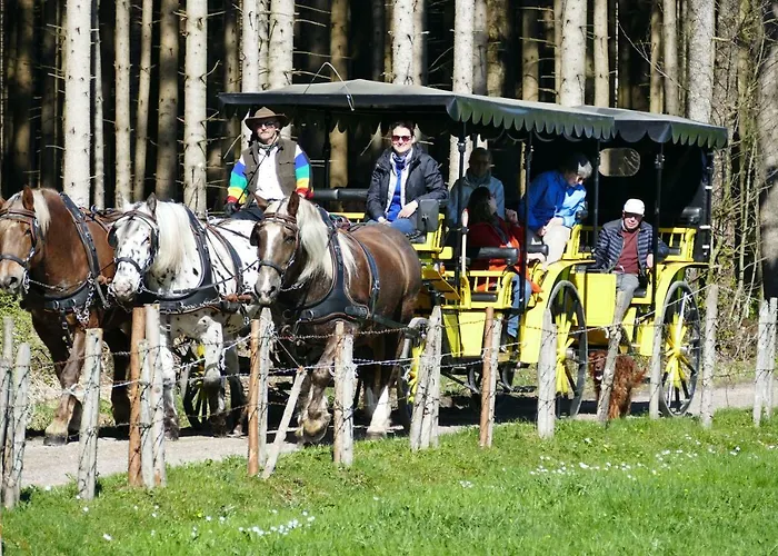 Alpenhof Hotel 3*
