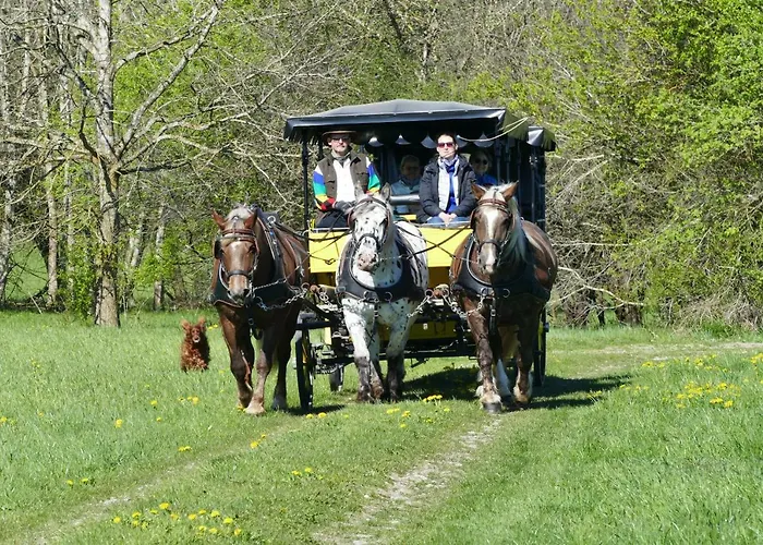 Alpenhof 3*