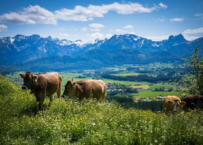 Alpenhof 3*