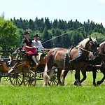 Alpenhof