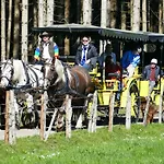 Alpenhof Hotel 3*