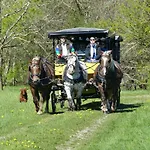 Alpenhof 3*
