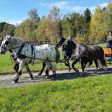 Szálloda Alpenhof