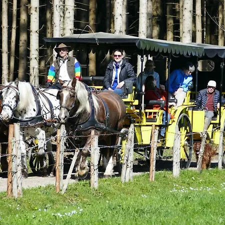 Alpenhof Szálloda 3*