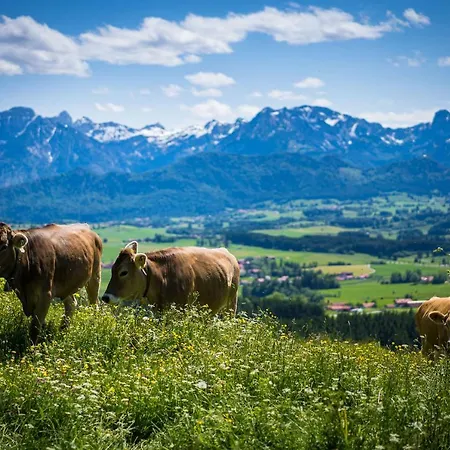 Alpenhof 3*